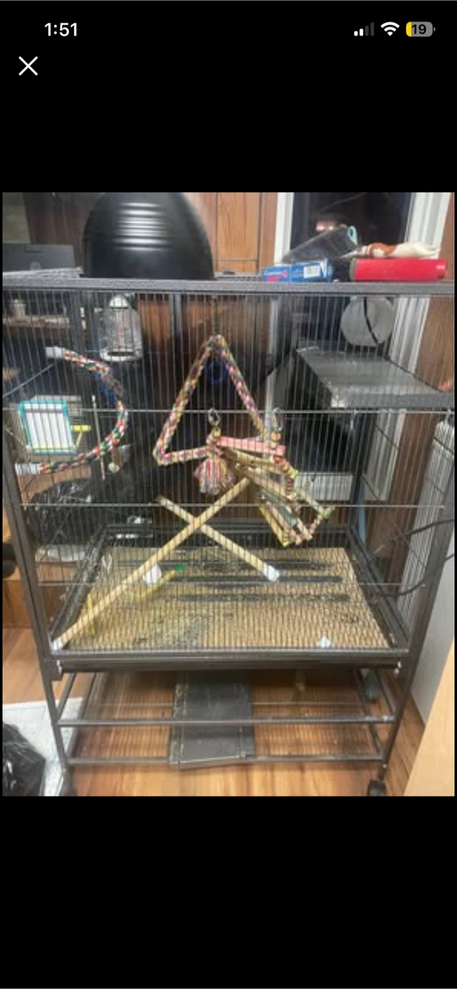 XXL Bird Cage