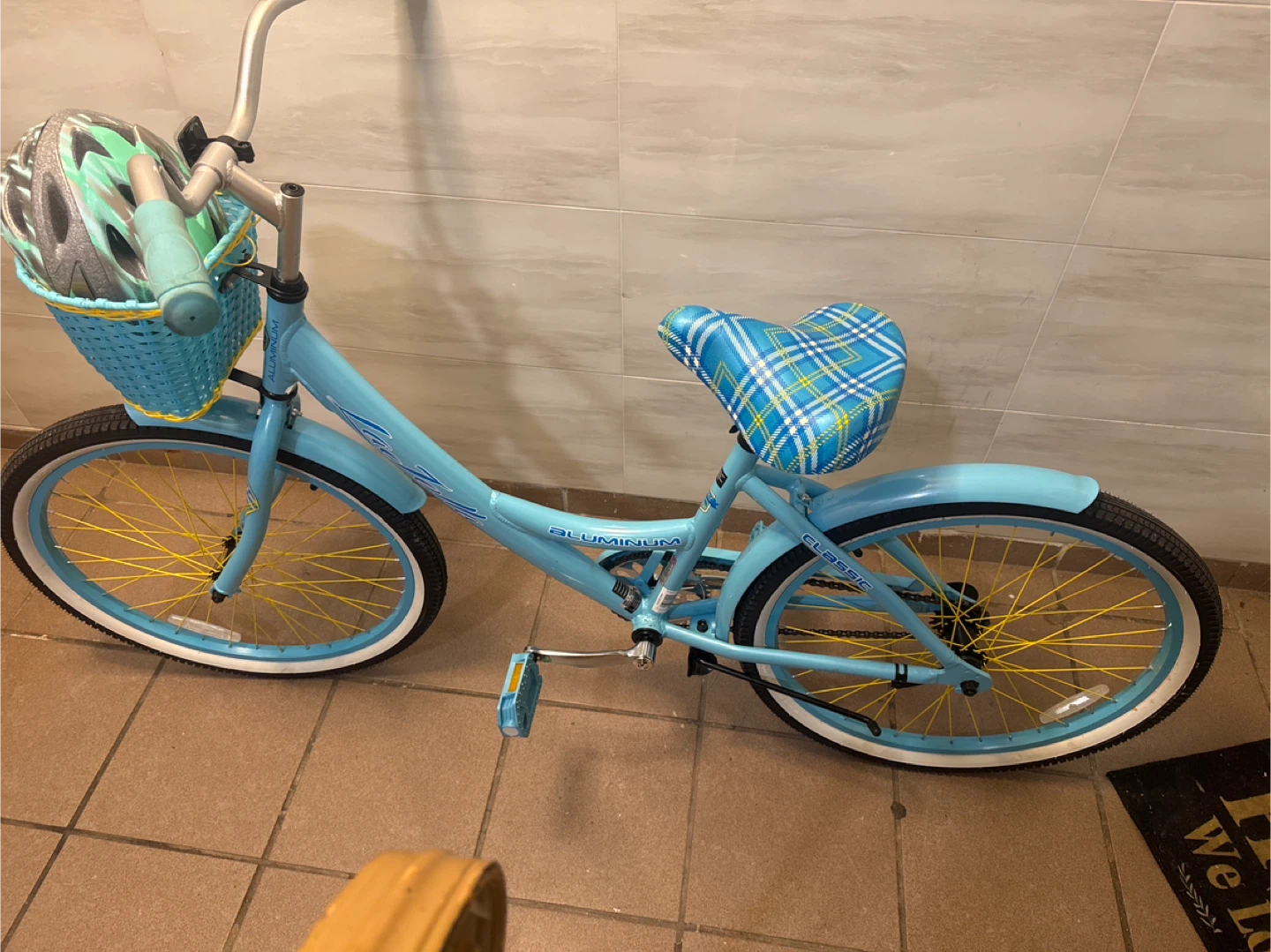 Blue Cruiser Bicycle with Plaid Seat and Basket