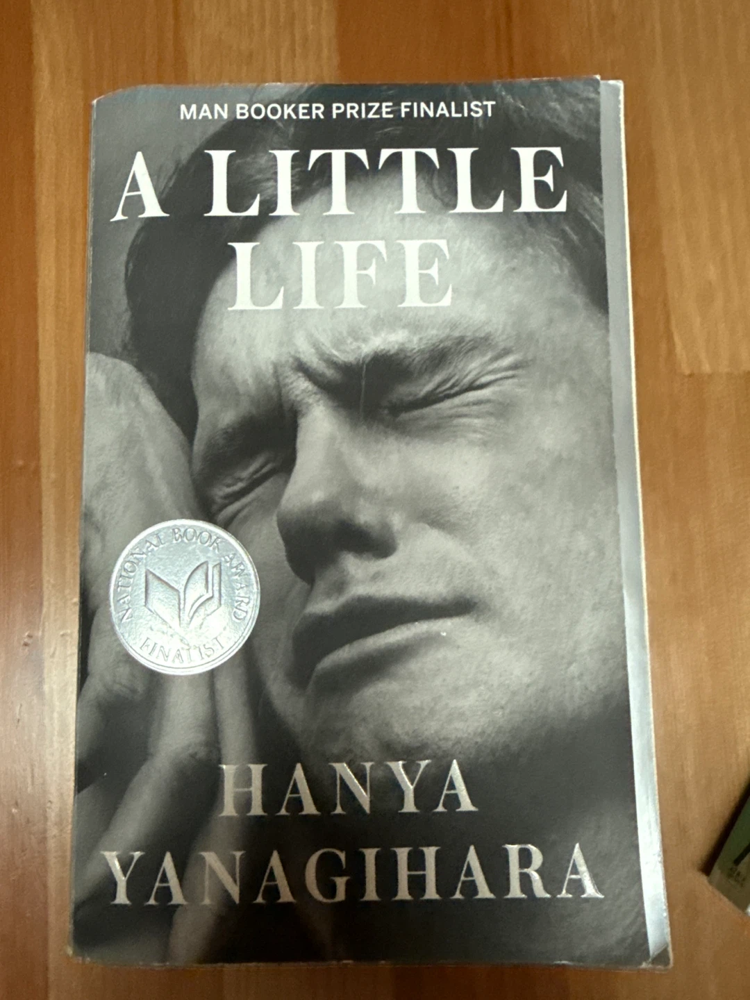 A Little Life by Hanya Yanagihara - Paperback