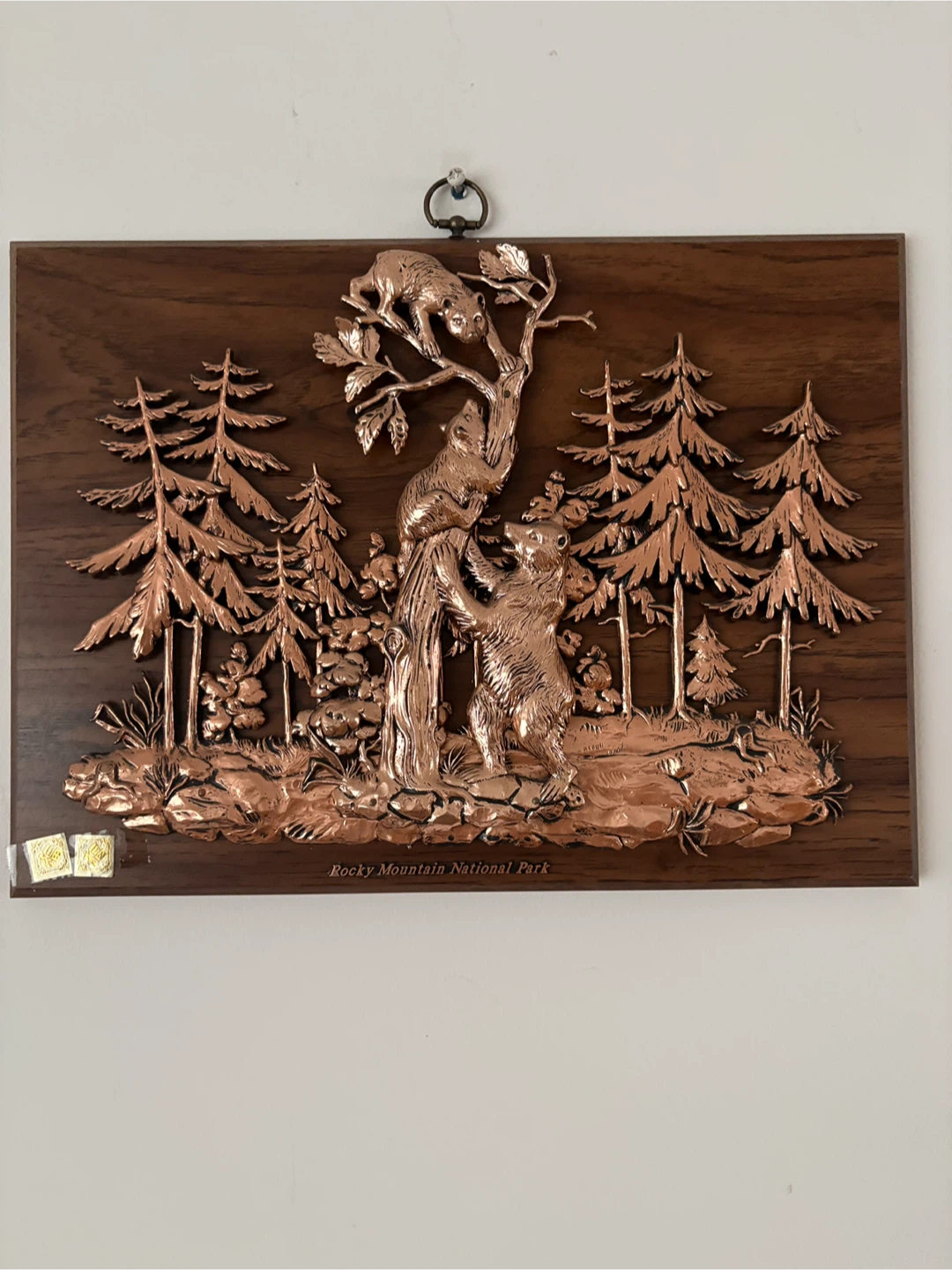 Rocky Mountain National Park Bear Wall Art - photo 2