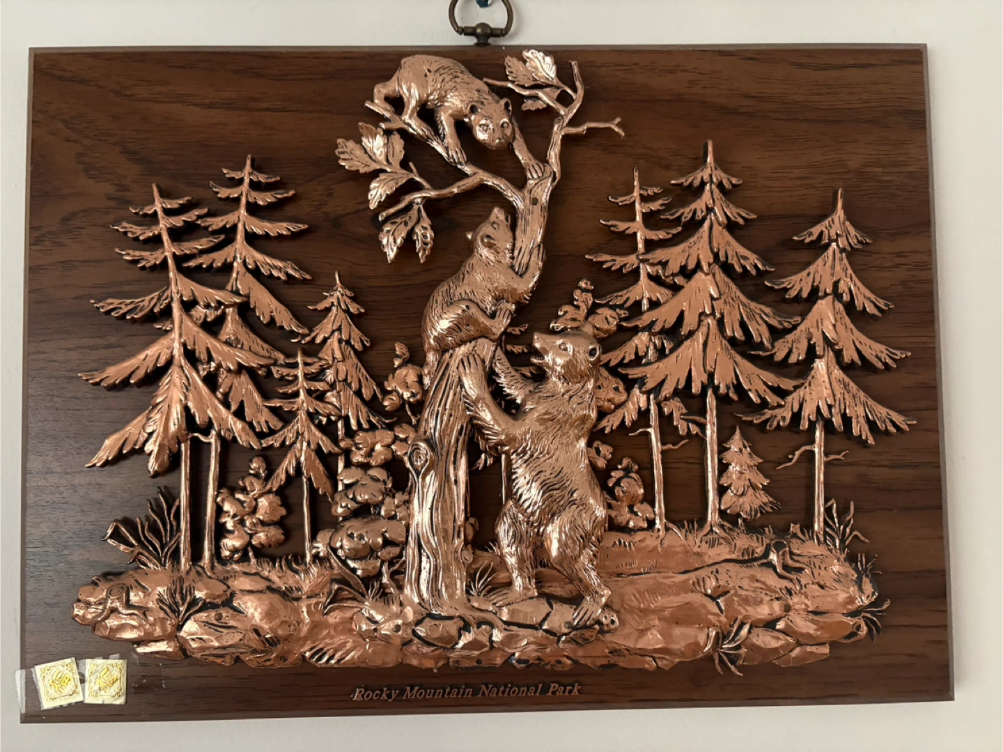 Rocky Mountain National Park Bear Wall Art