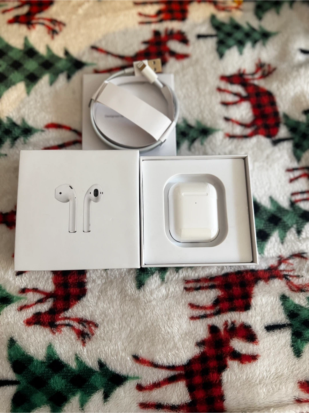 Apple AirPods (2nd Generation) with Charging Case - photo 4