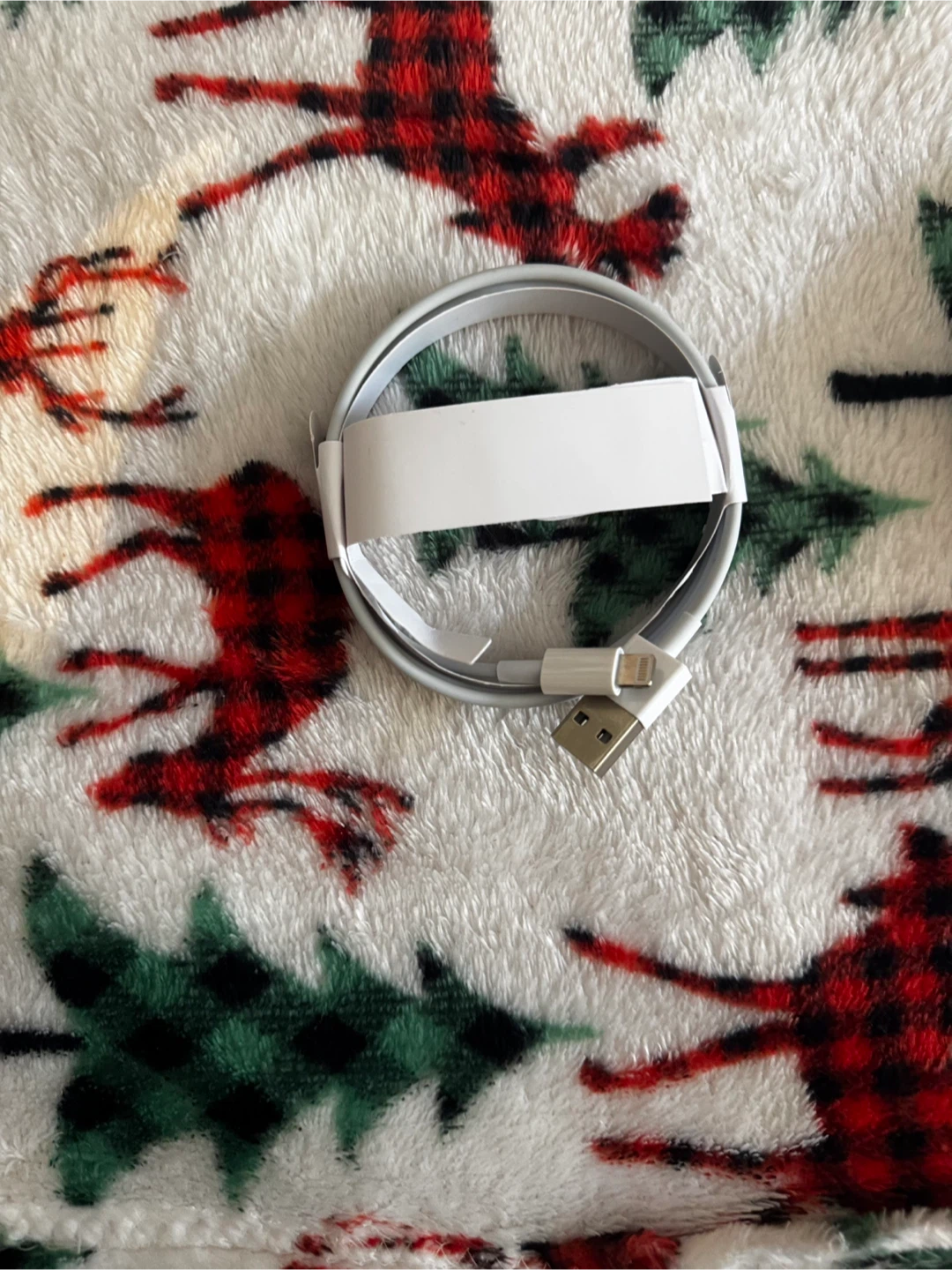 Apple AirPods (2nd Generation) with Charging Case - photo 2