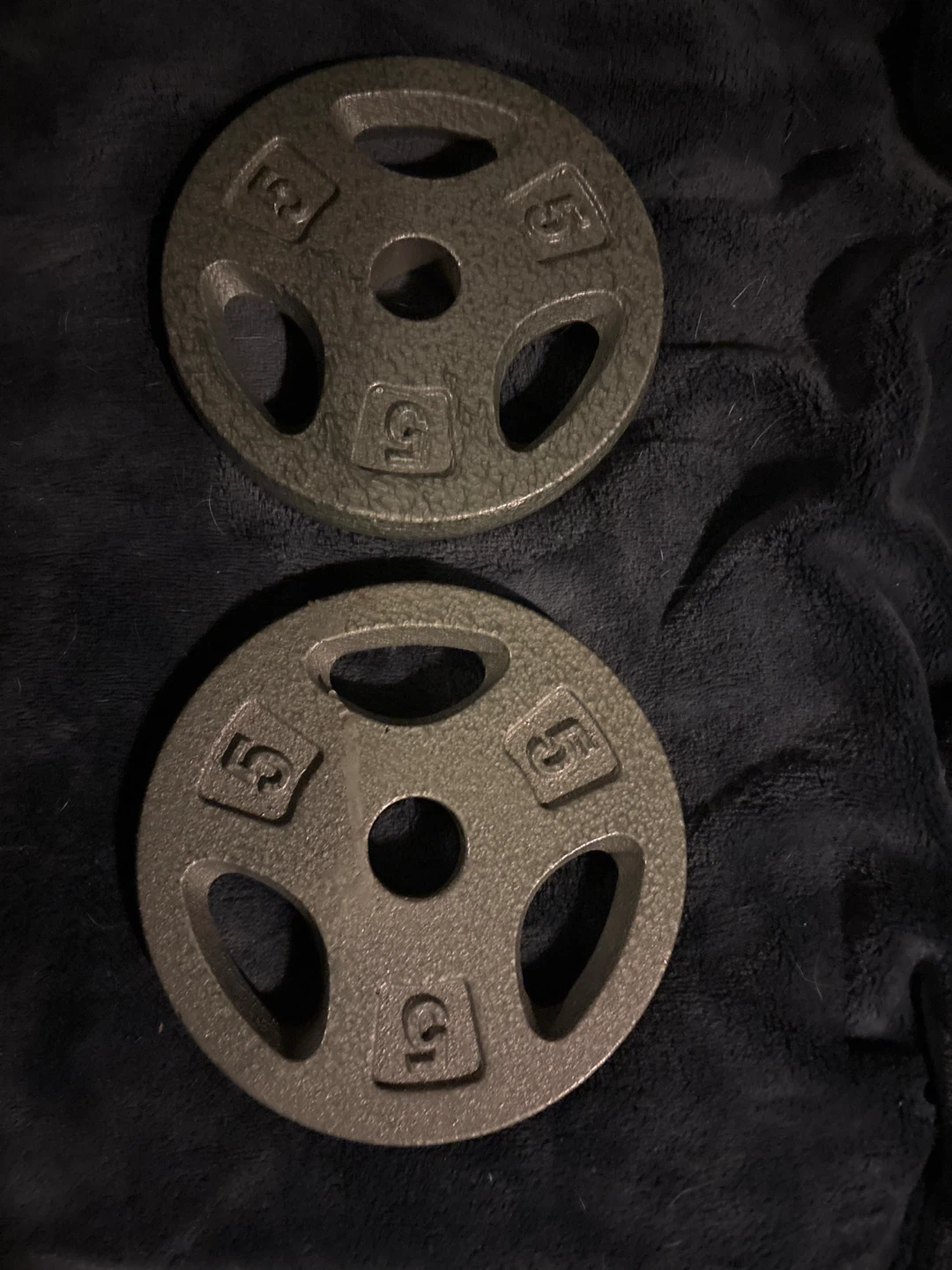Two 5lb Weight Plates