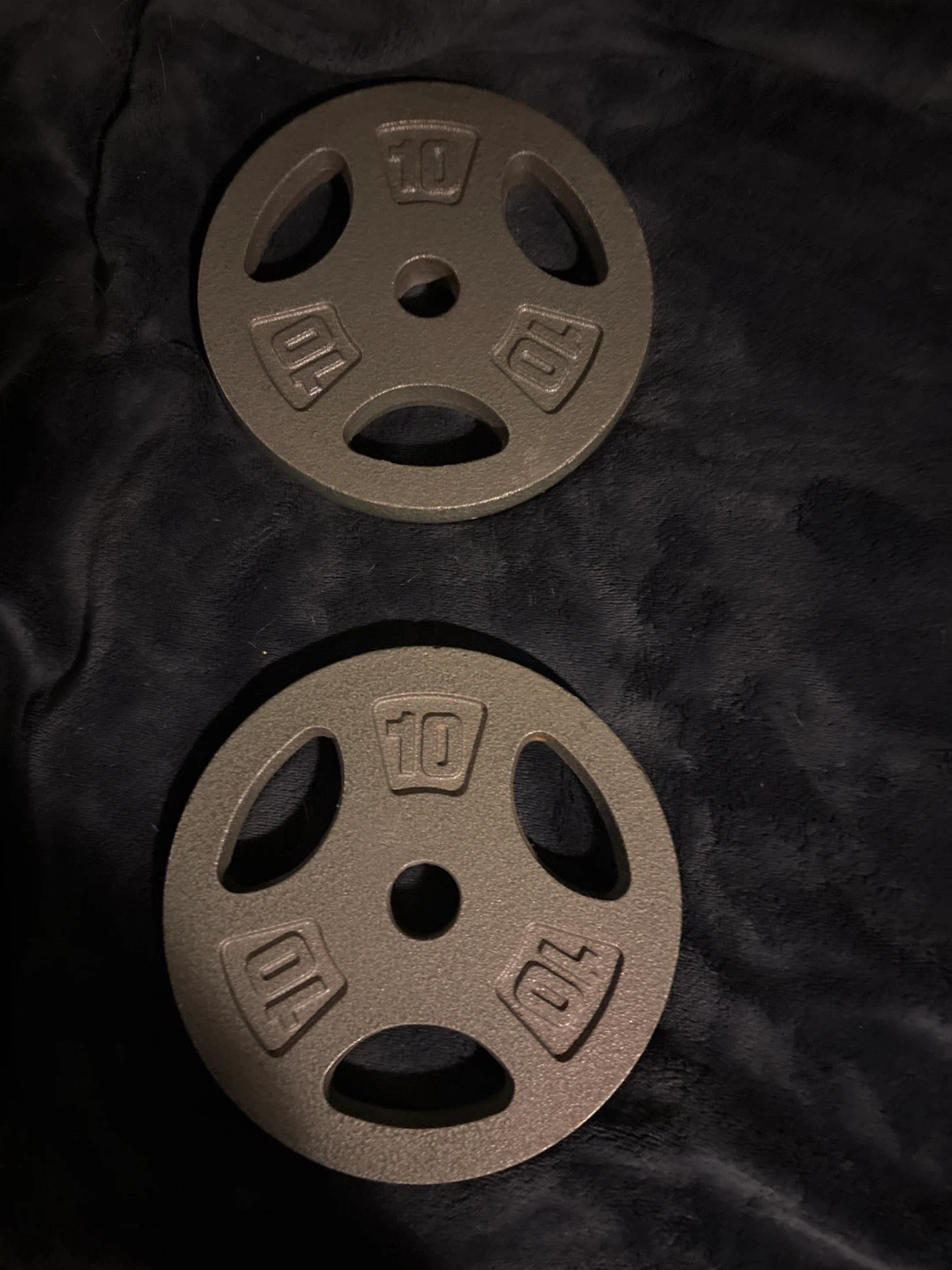 Two 10lb Weight Plates