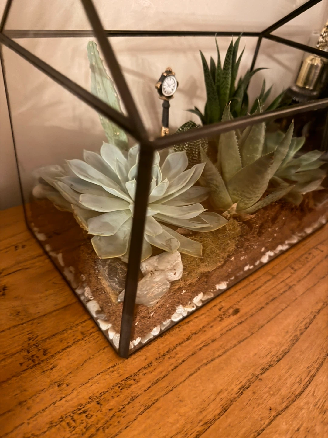 Geometric Terrarium with Succulents🏆 - photo 4