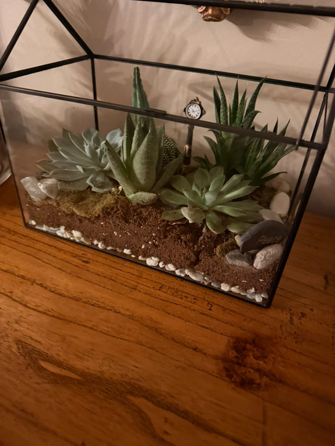 Geometric Terrarium with Succulents🏆
