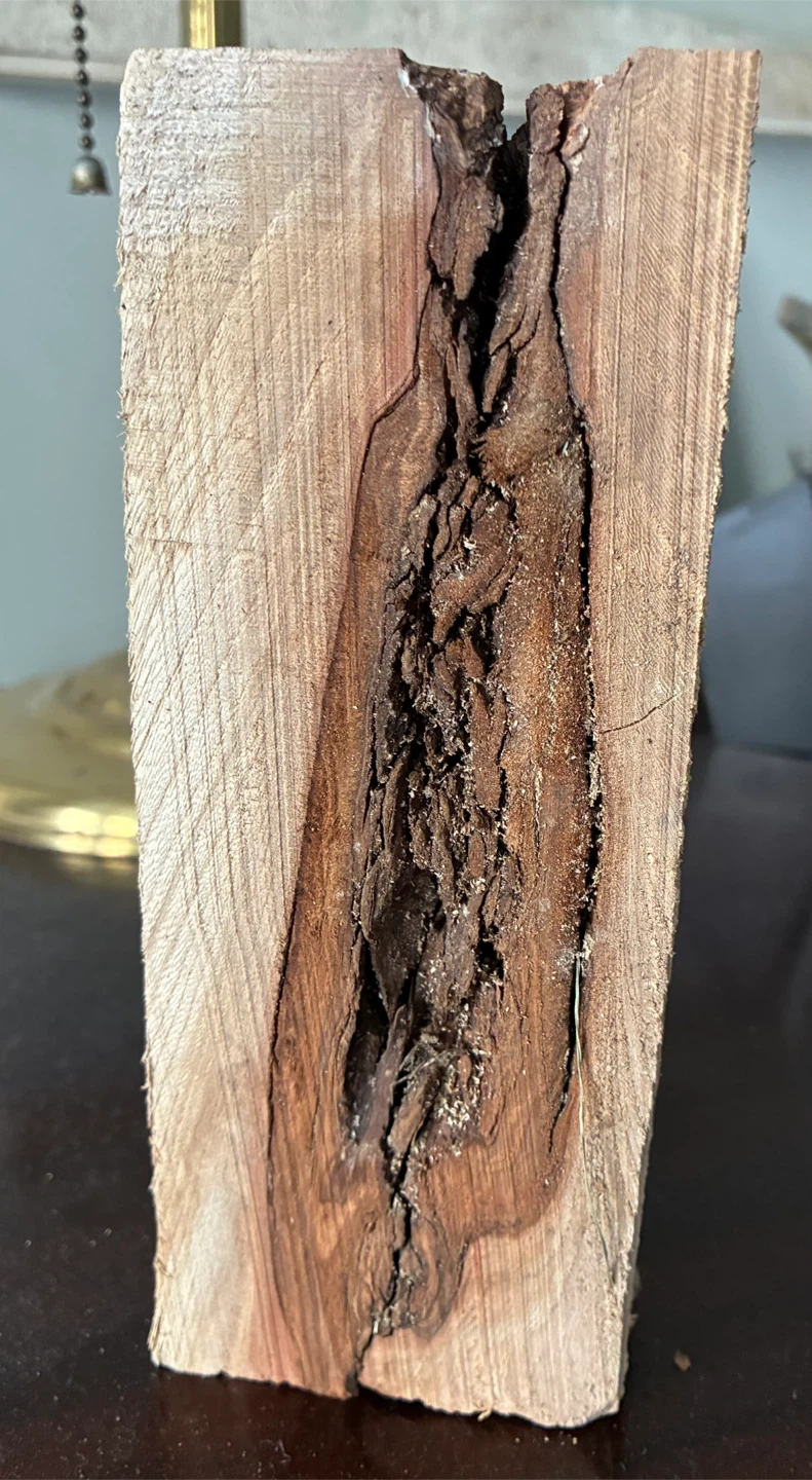 $12 erotic wood Burl not firewood art antique vintage East York