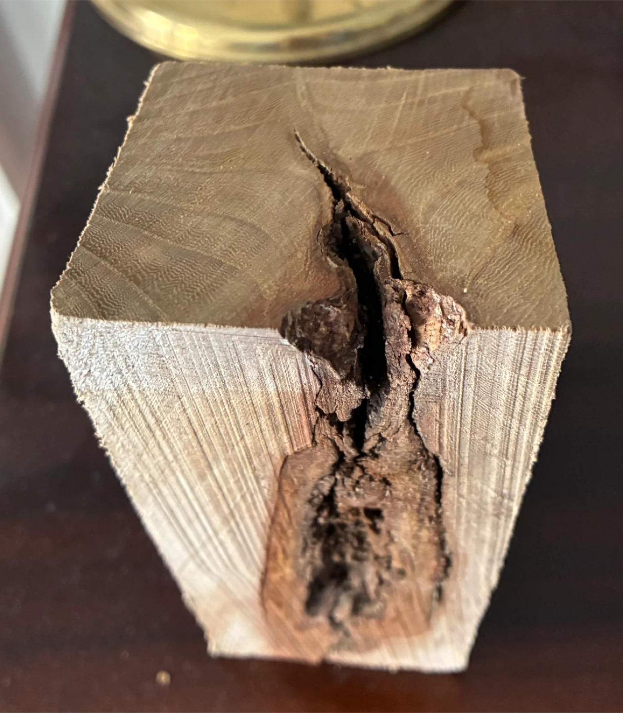 $12 erotic wood Burl not firewood art antique vintage East York - photo 4