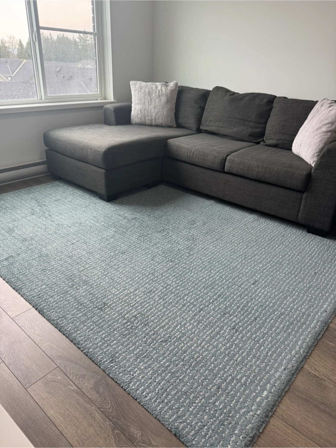Moving out Sale - Area rug
