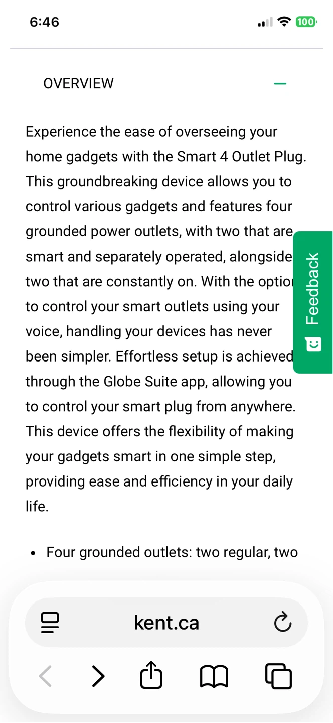 Globe Electric Smart Wi-Fi 4 Outlet Plug - photo 4