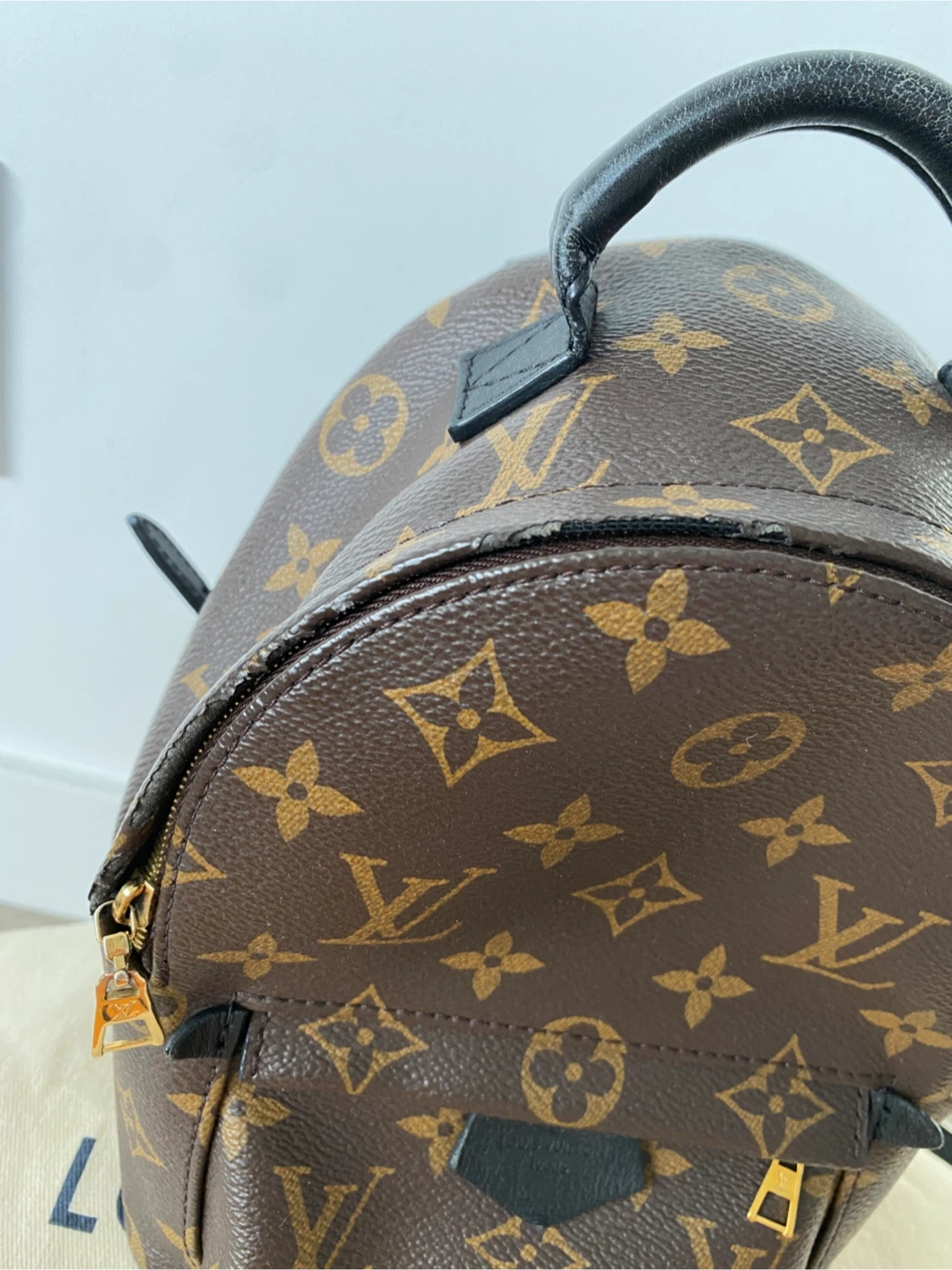 Louis Vuitton Palm Springs Mini Backpack Monogram - photo 2