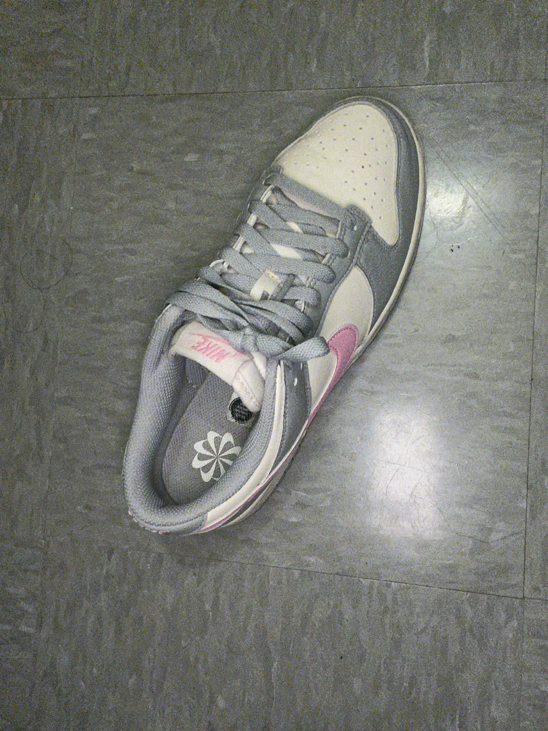 Nike Dunk Low Women's Shoes