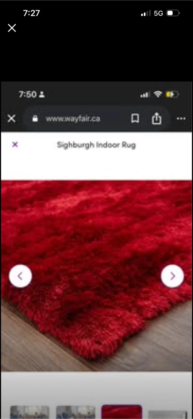 Brand New Sighburgh Indoor Rug - Red Size 6’ X 9’ - photo 3