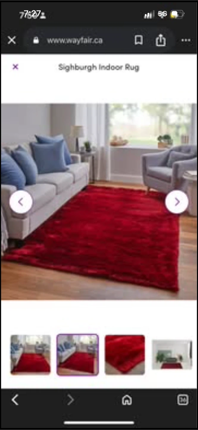 Brand New Sighburgh Indoor Rug - Red Size 6’ X 9’