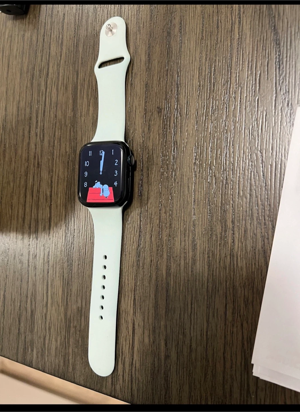Apple Watch Series 9 (Mint Green Band) - photo 2