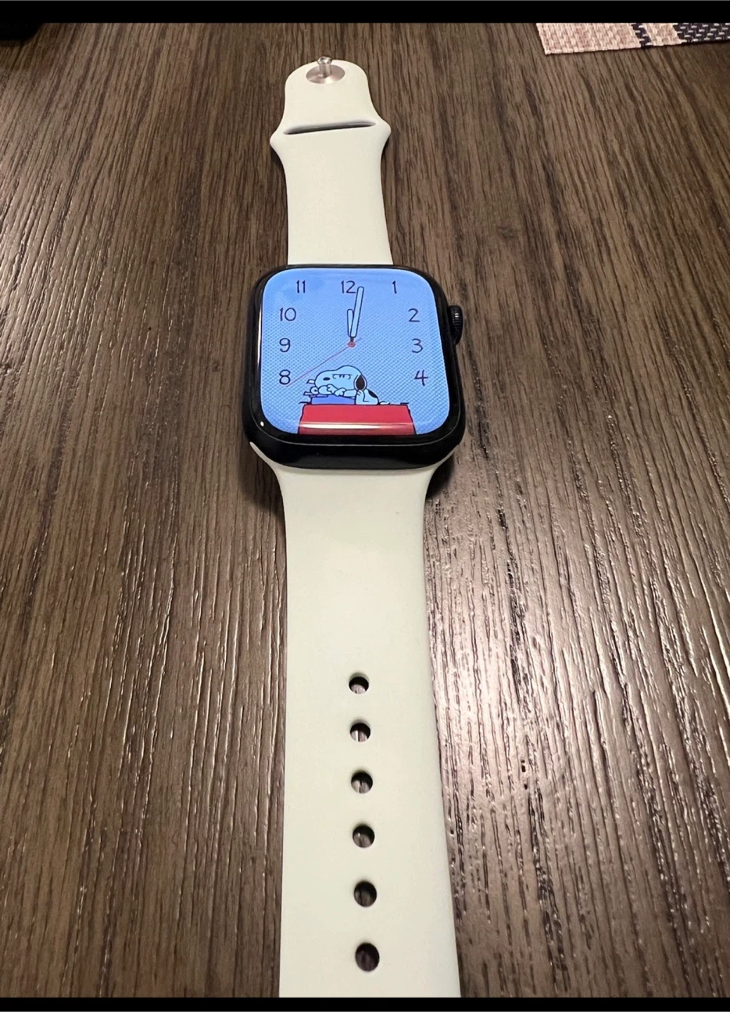 Apple Watch Series 9 (Mint Green Band)