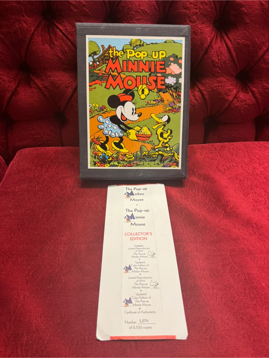 The Pop-Up Mickey Mouse & Minnie Mouse Collector's Edition