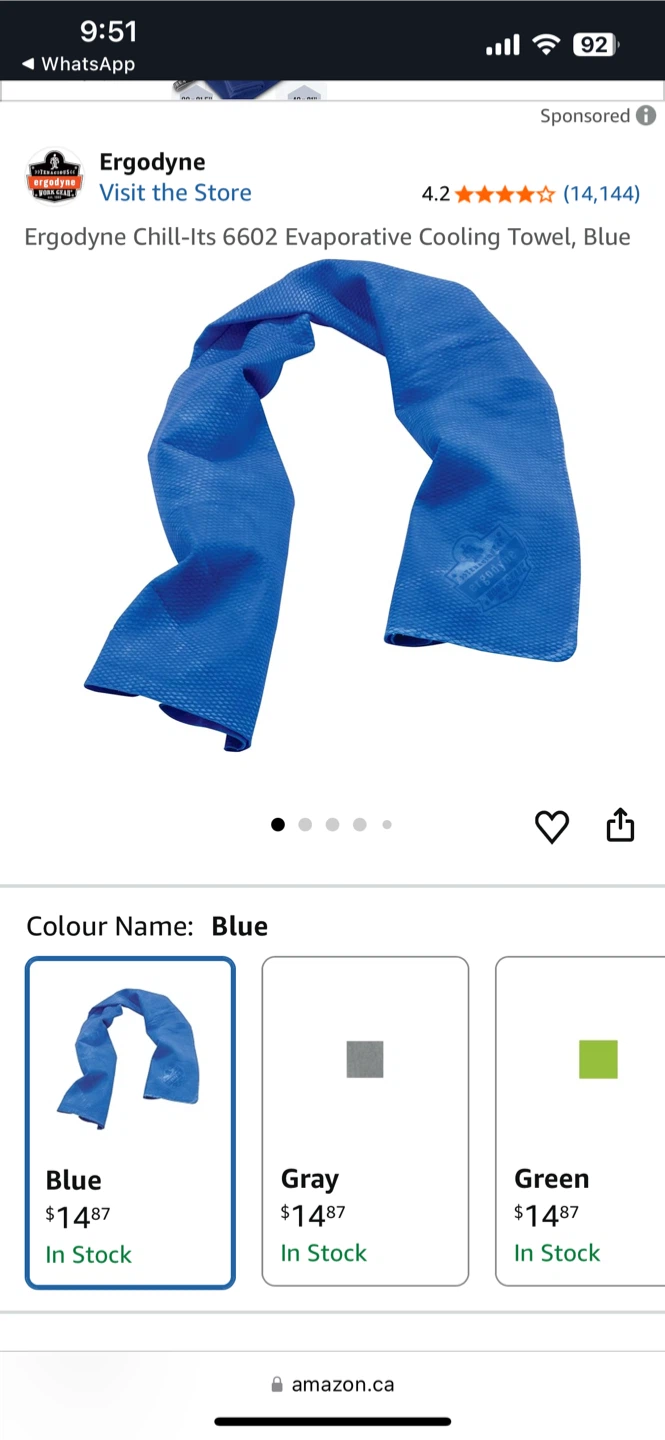 Ergodyne Chill-Its 6602 Cooling Towel, Blue