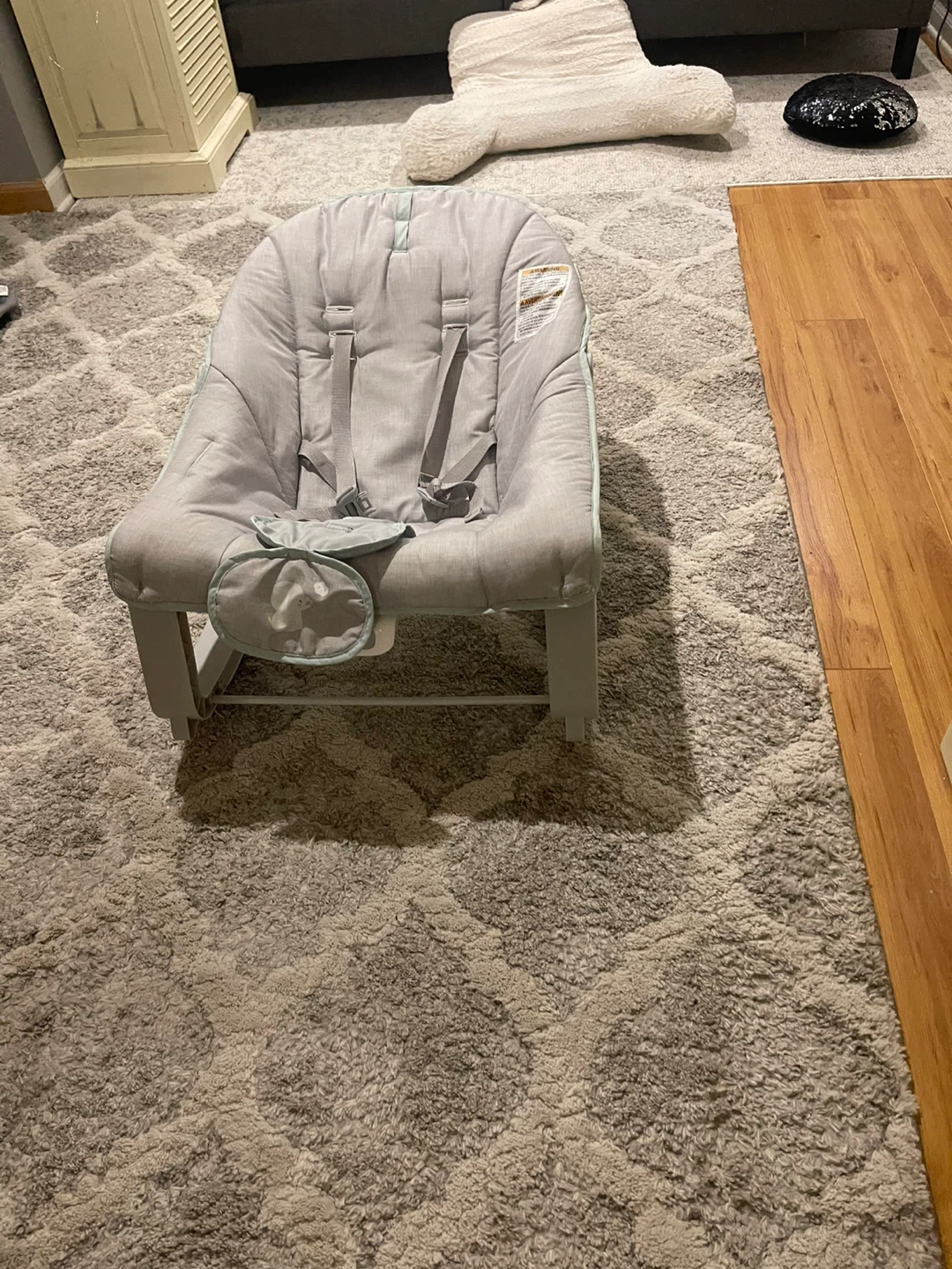 Graco Baby Rocker