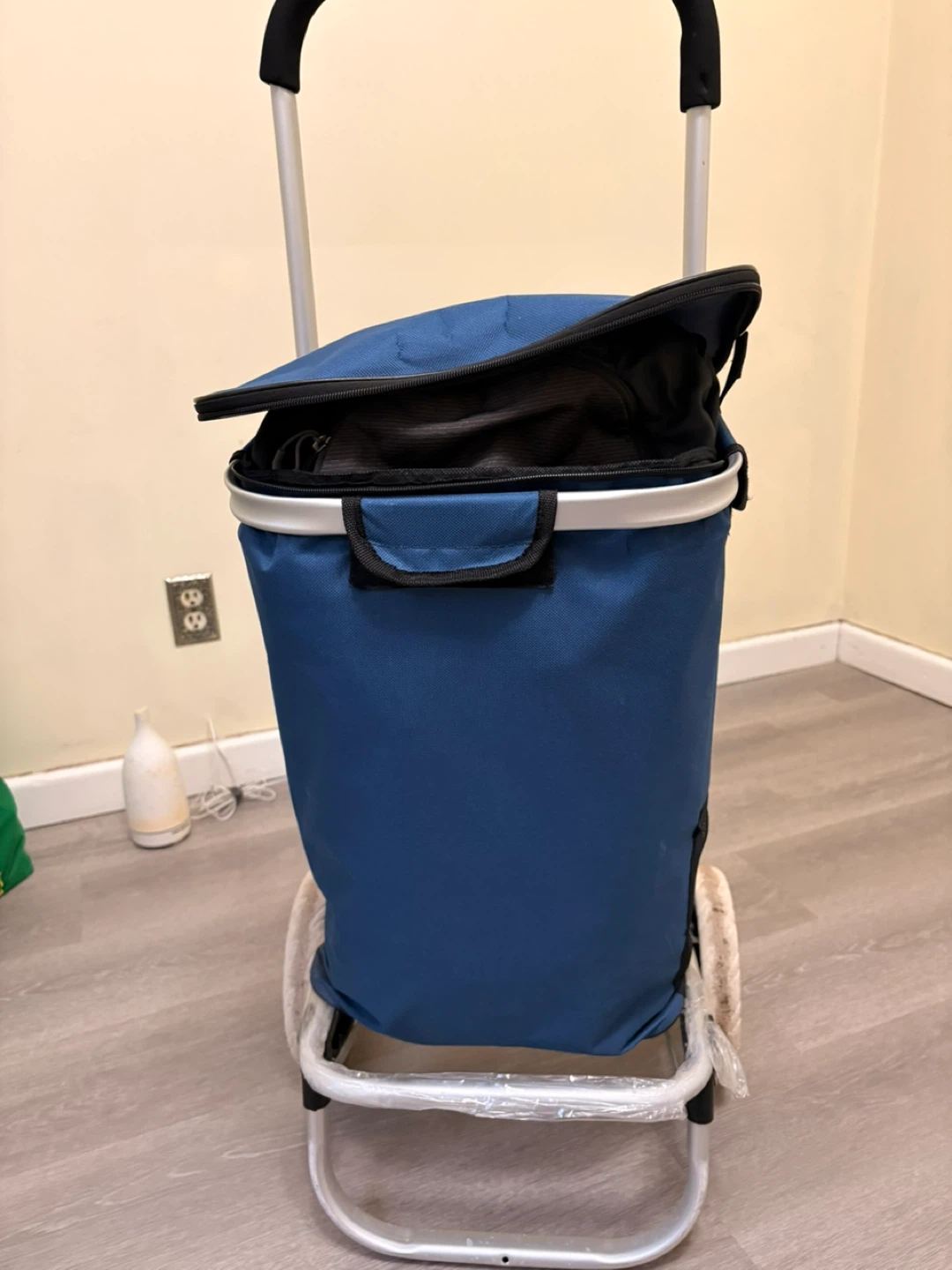 Blue Shopping Cart Trolley