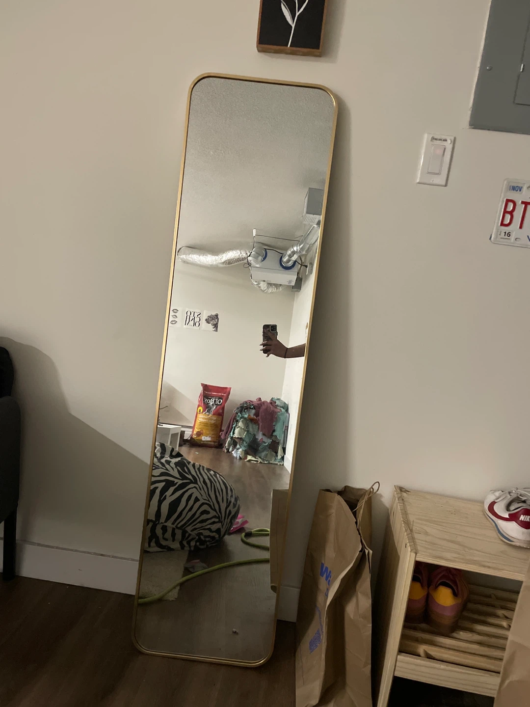 Tall Floor Mirror with Gold Frame