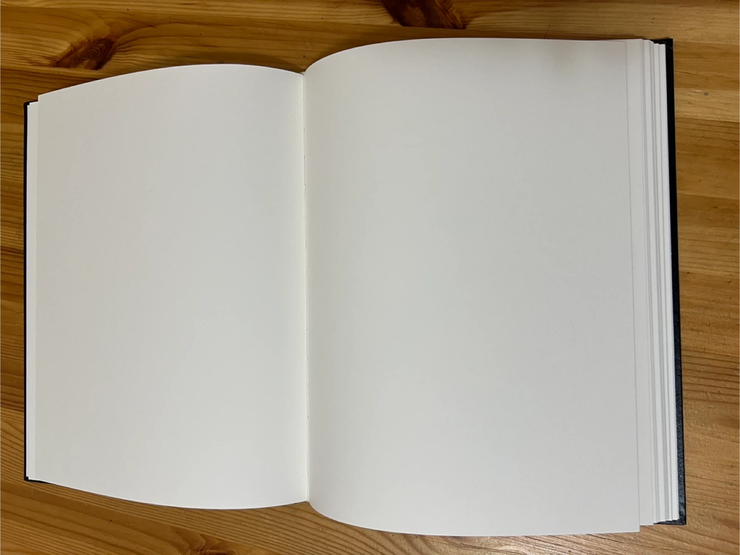 Blank Sketchbook - photo 2