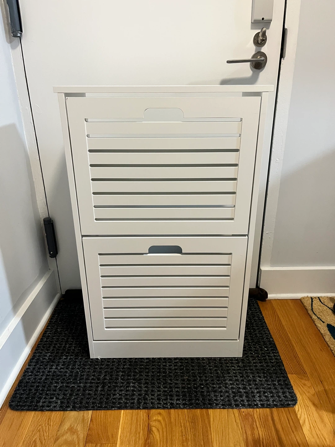 Shoe Storage Cabinet
