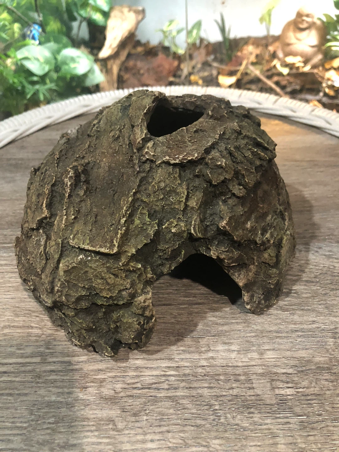 Reptile Hideout Rock Cave