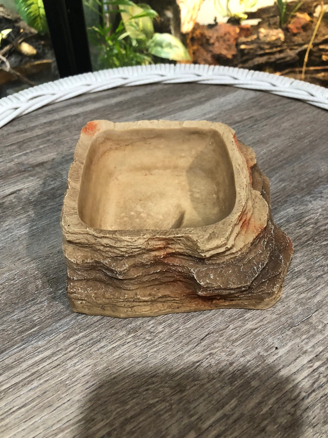 Small Reptile Water Dish - photo 2