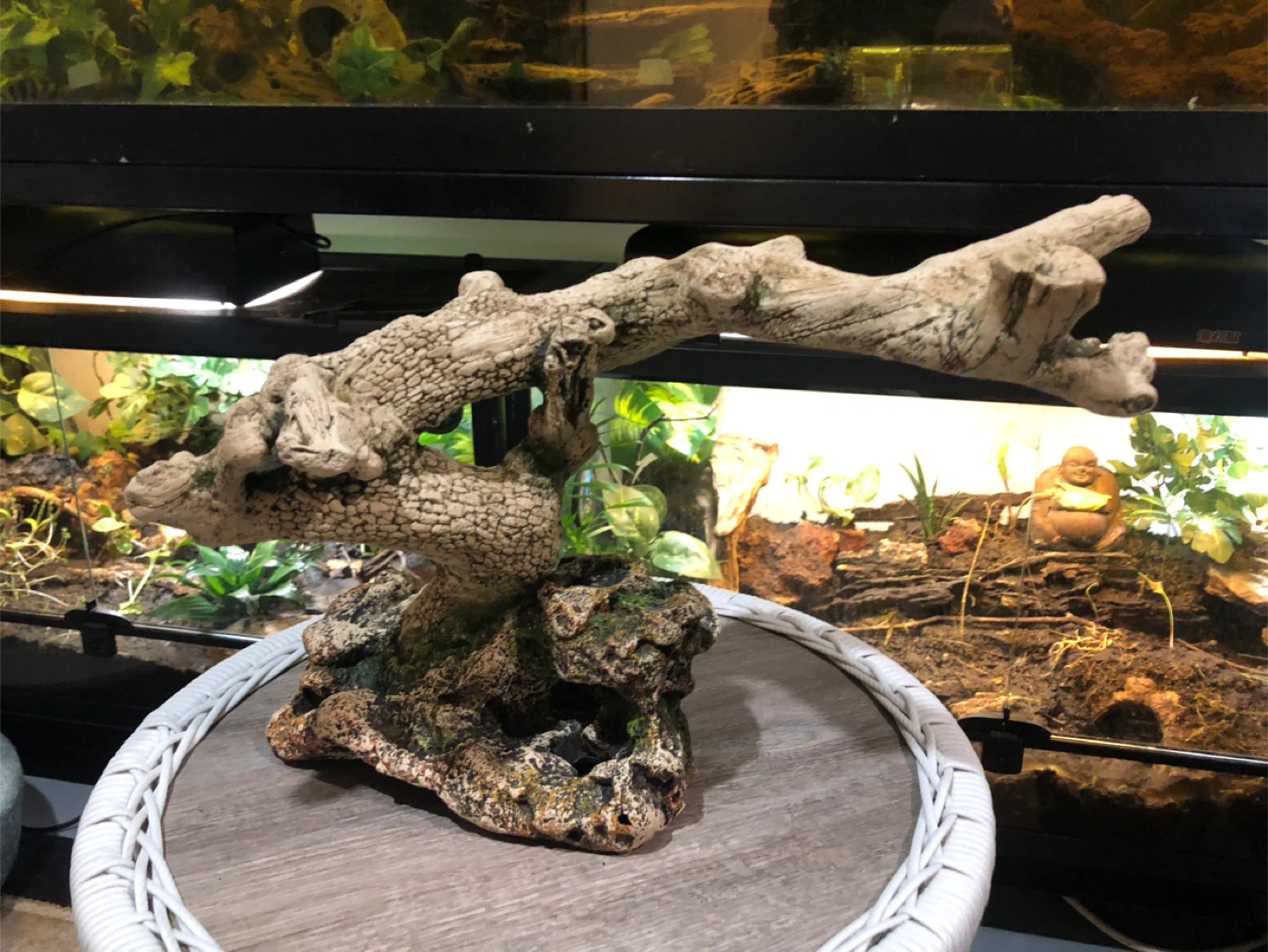 Large Reptile Tank Driftwood and Rock Decor