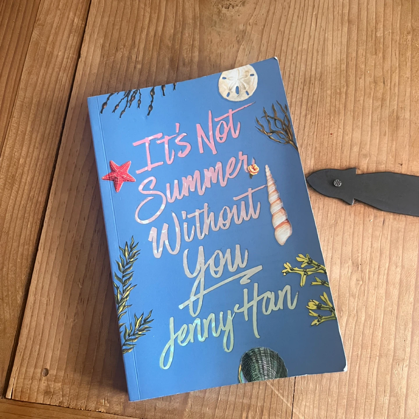 It's Not Summer Without You - Deluxe Edition