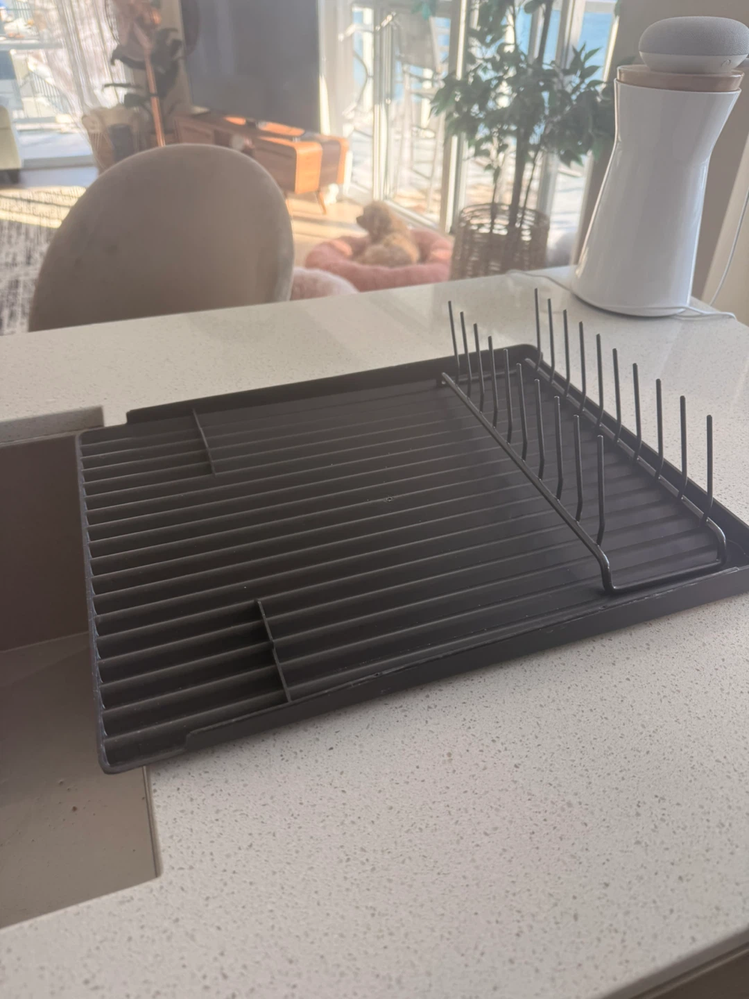 Dish Drying Rack- free