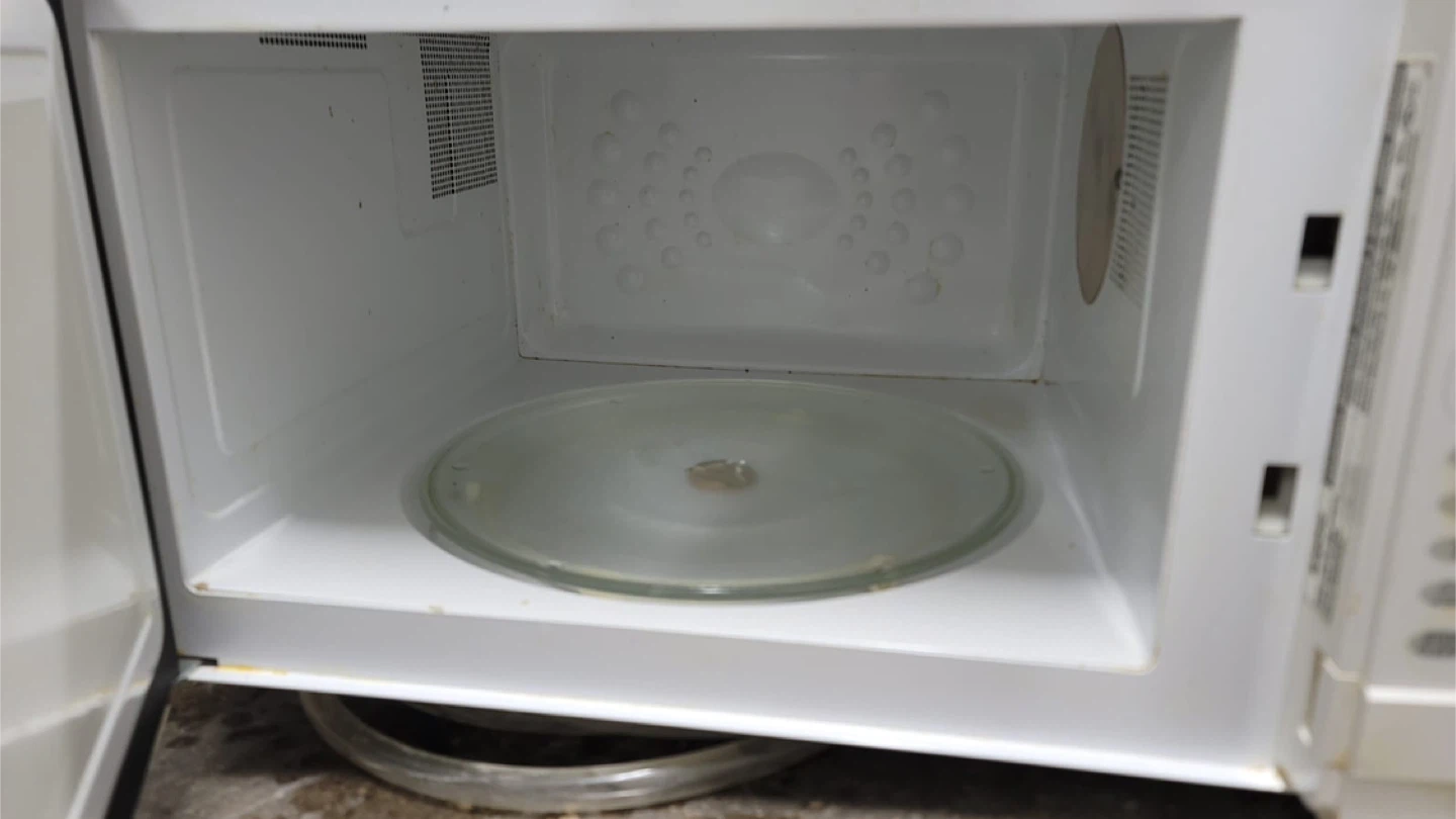 Sanyo Microwave Big Size - photo 2