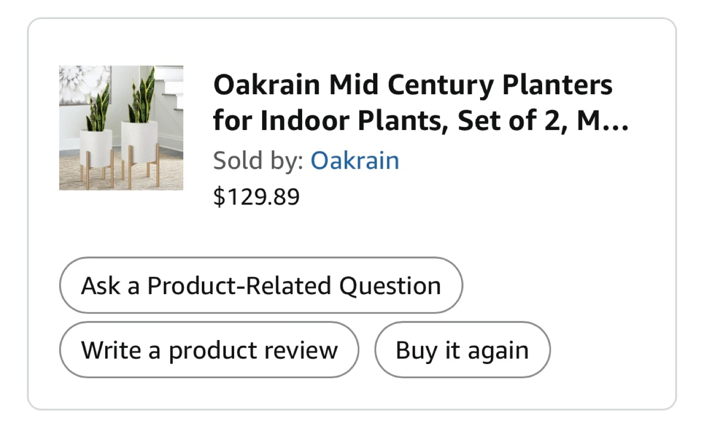 Zz Plant with planter (Zamioculcas zamiifolia, Zanzibar Gem) - photo 3
