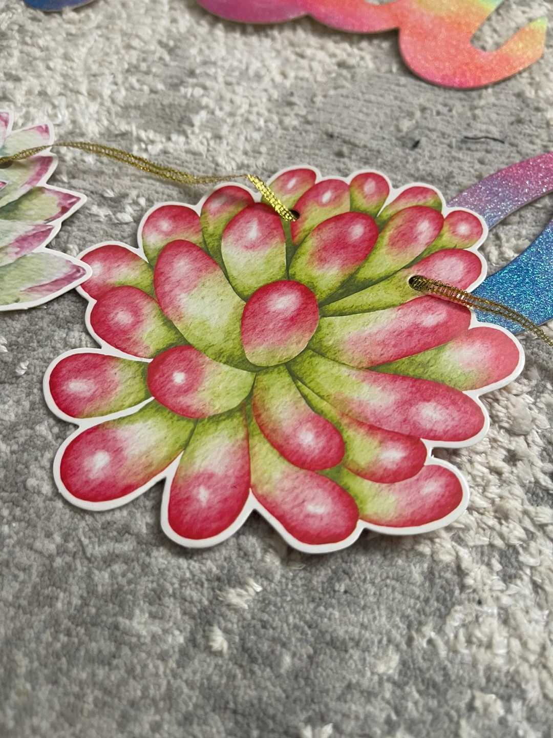 Succulent birthday set - photo 5