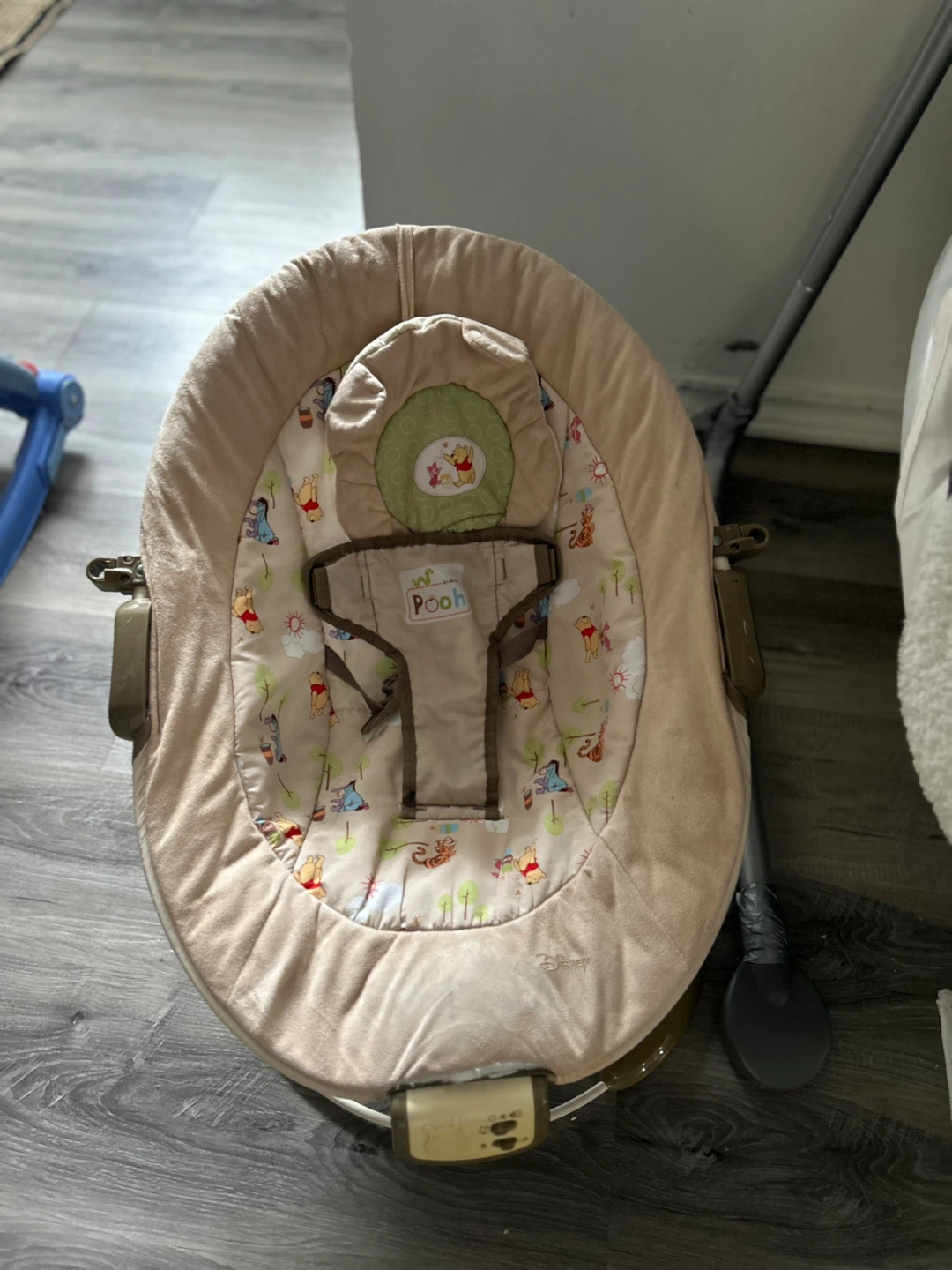 Fisher-Price Infant-to-Toddler Rocker - photo 4