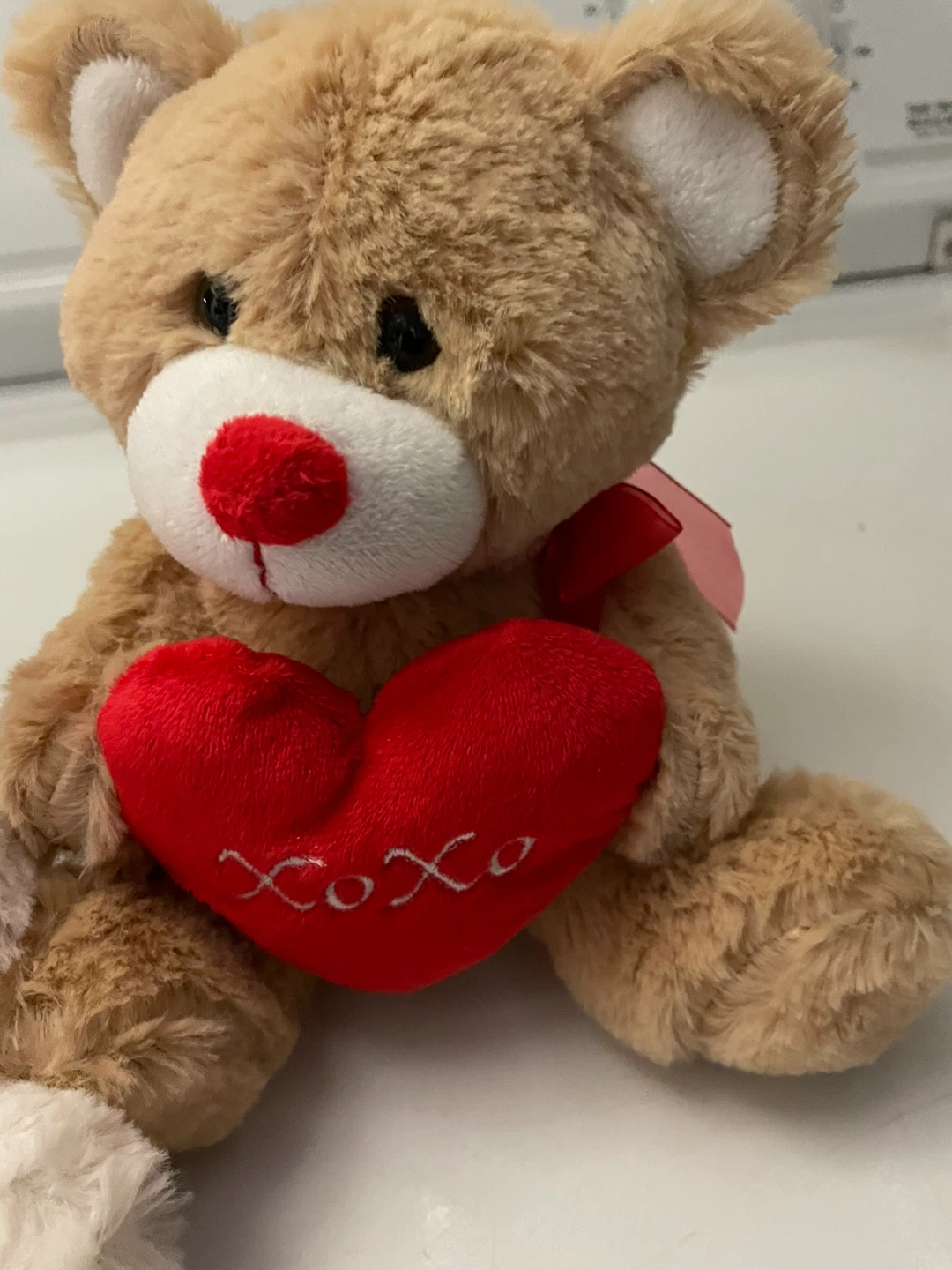 CUTEST PLUSH HEART MESSAGE BEARS - photo 3