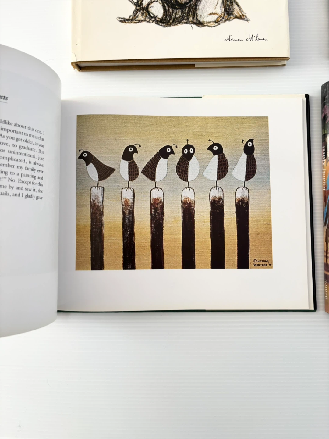 Art Books Collection - Klee, Vuillard, McLaren + More - photo 4