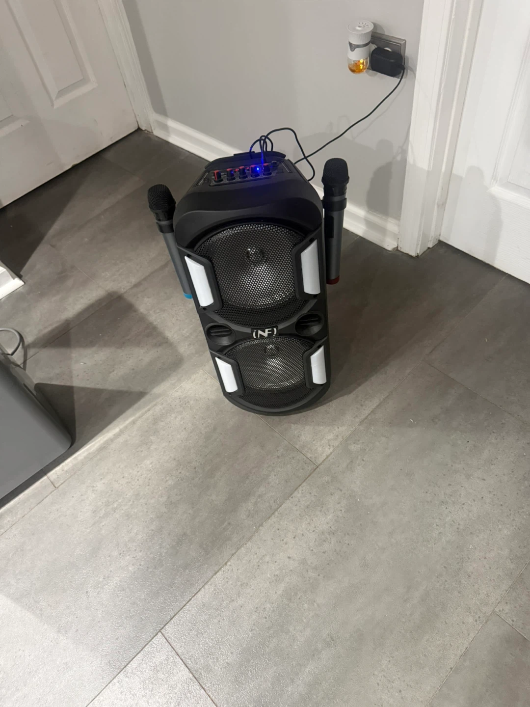 Karaoke Machine with Microphones