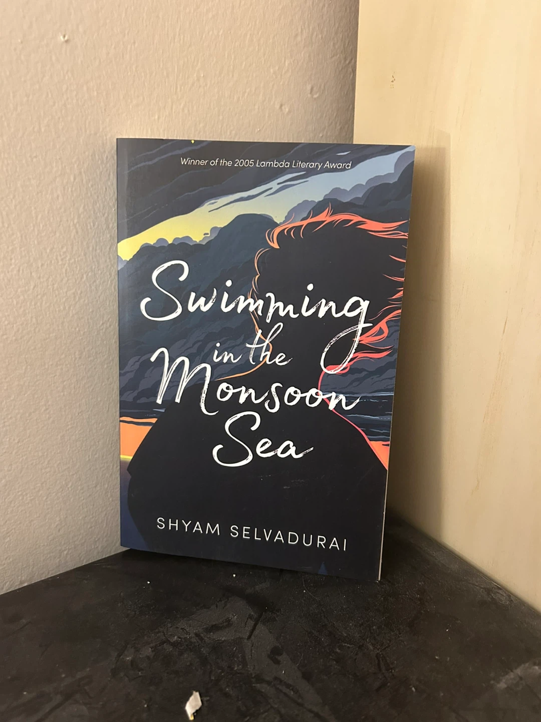 Swimming in the Monsoon Sea Book