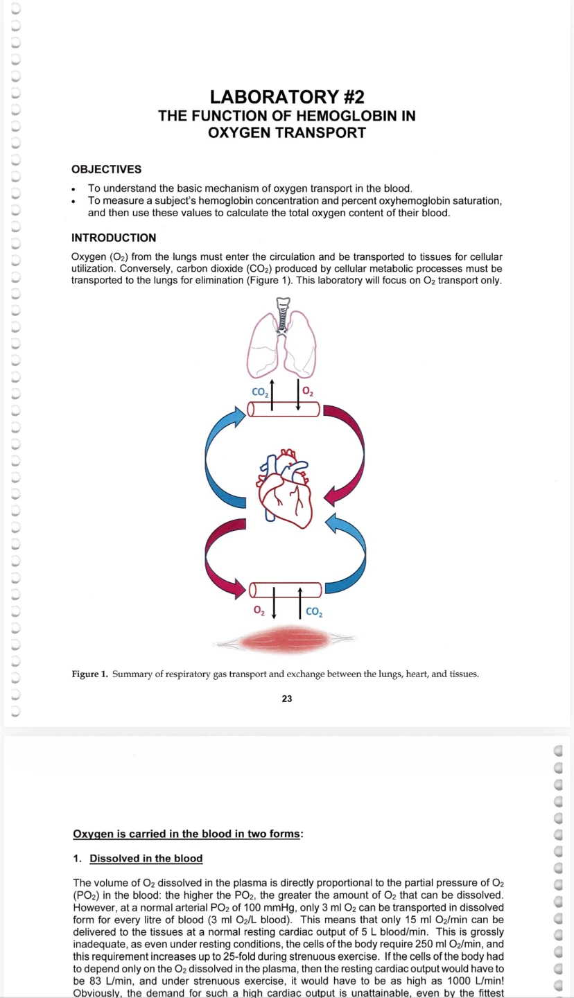 KINE 3012 lab manual - York University kinesiology