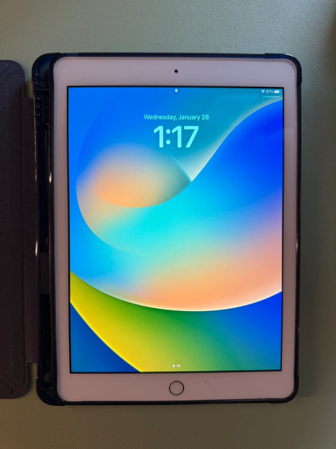 Apple iPad with Case (128gb, 5th Gen)