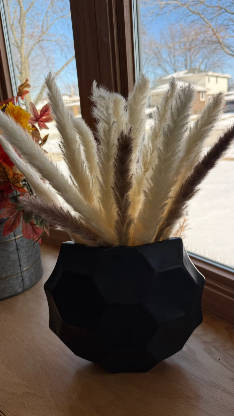 Black Geometric Vase with Pampas Grass