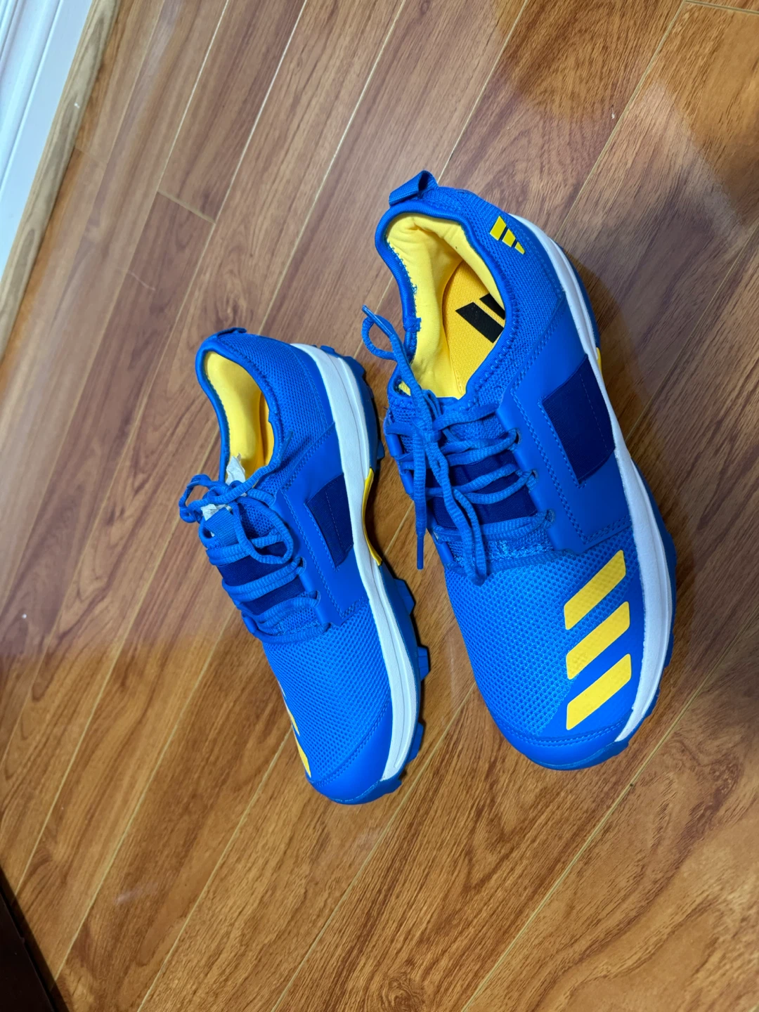 Adidas cricket shoes
