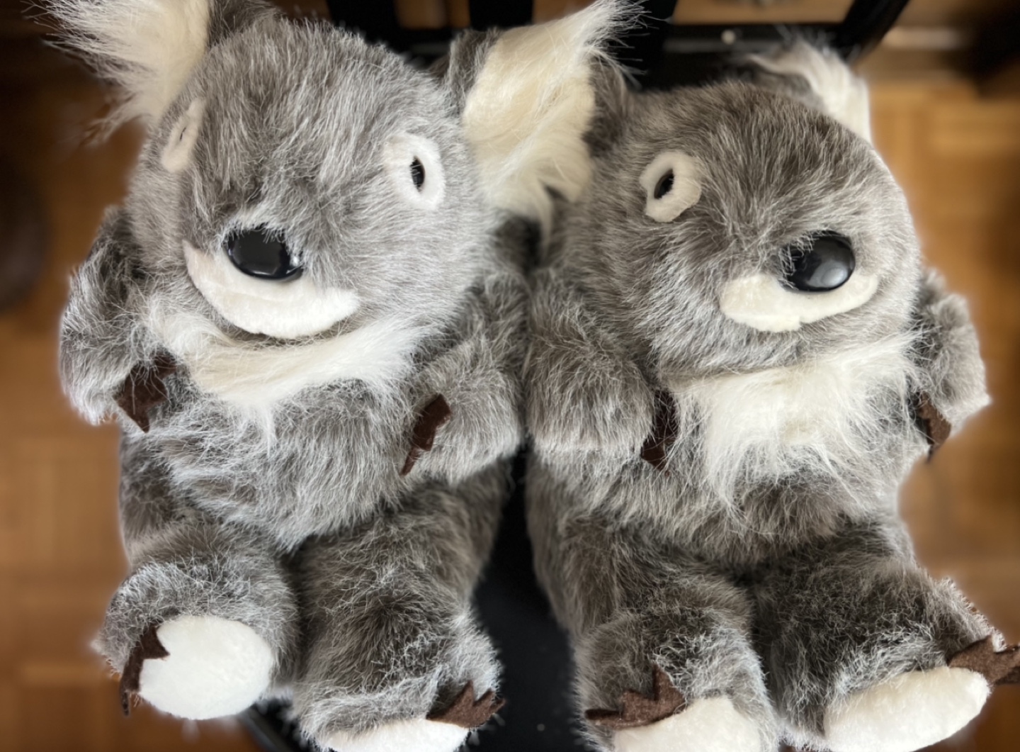 Koala Slippers - Size S/M