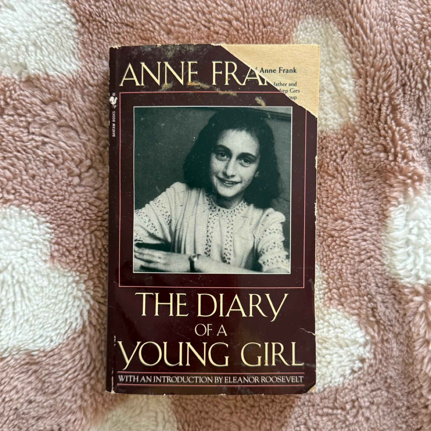 Anne Frank The Diary of a Young Girl Paperback Book