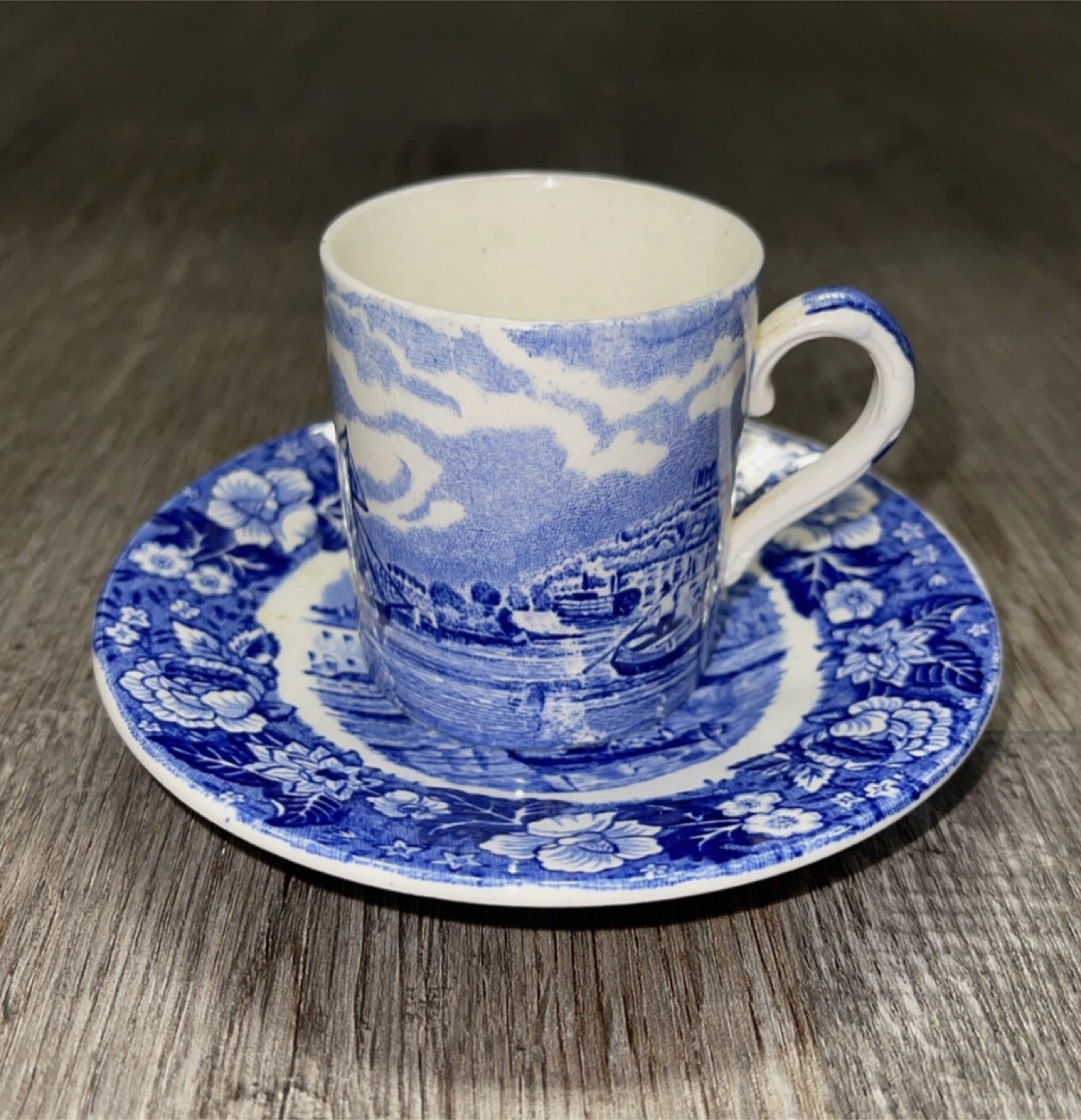 Vintage Palissy Pottery Thames River Scenes Cup and Saucer