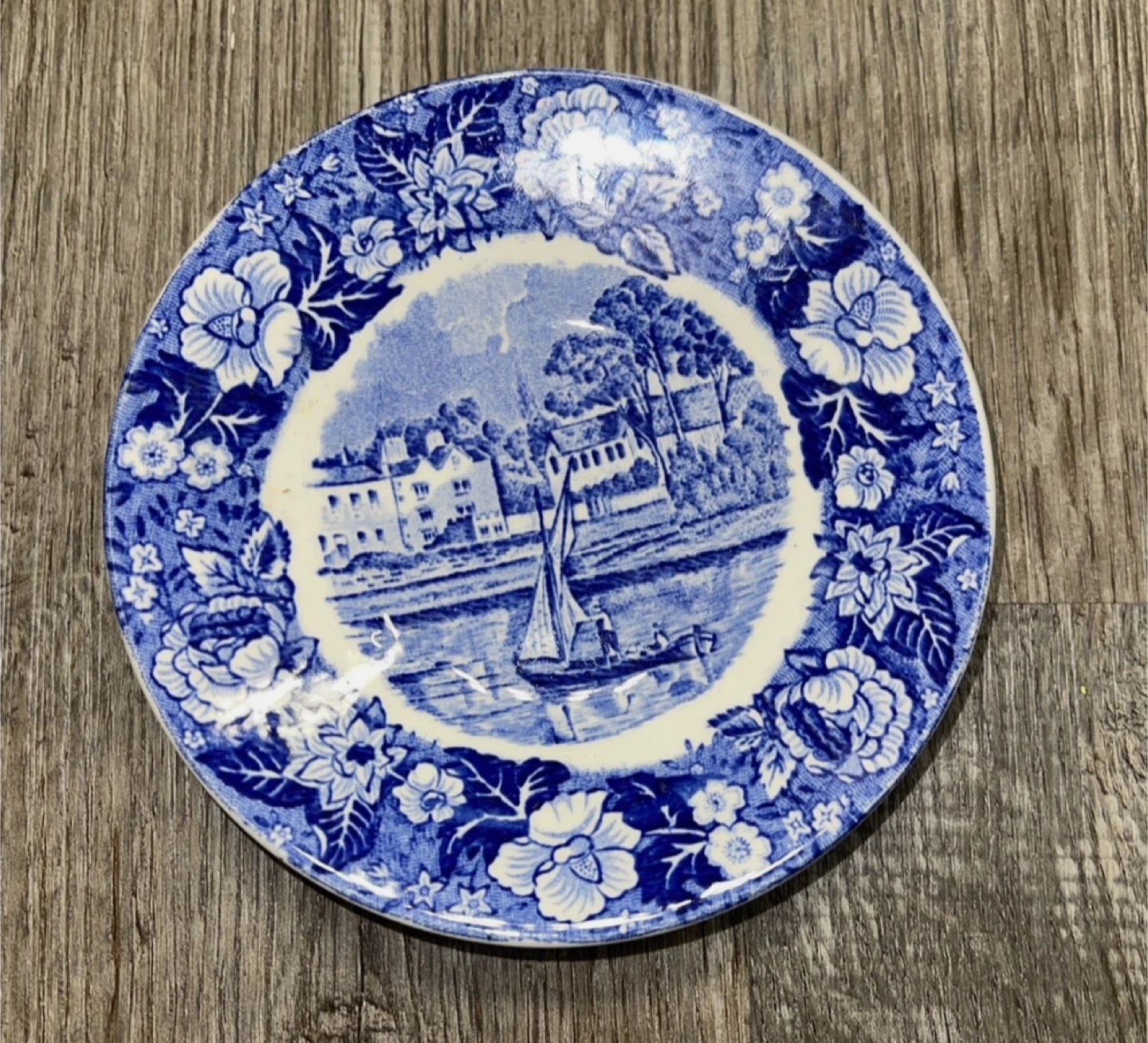 Vintage Palissy Pottery Thames River Scenes Cup and Saucer - photo 4