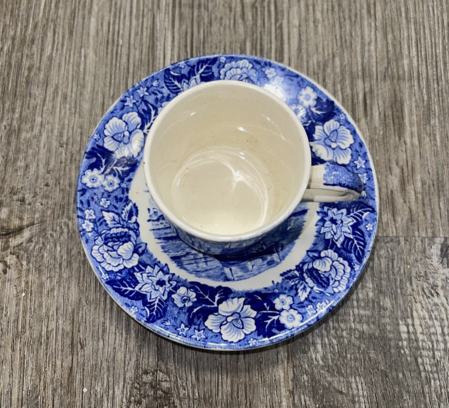 Vintage Palissy Pottery Thames River Scenes Cup and Saucer - photo 2